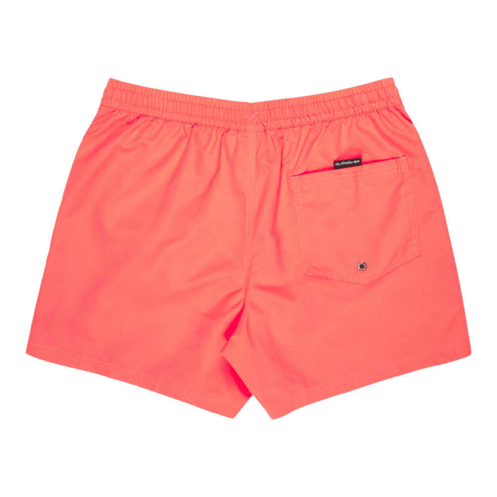 Quiksilver Everyday Solid Volley 15 Boardshorts