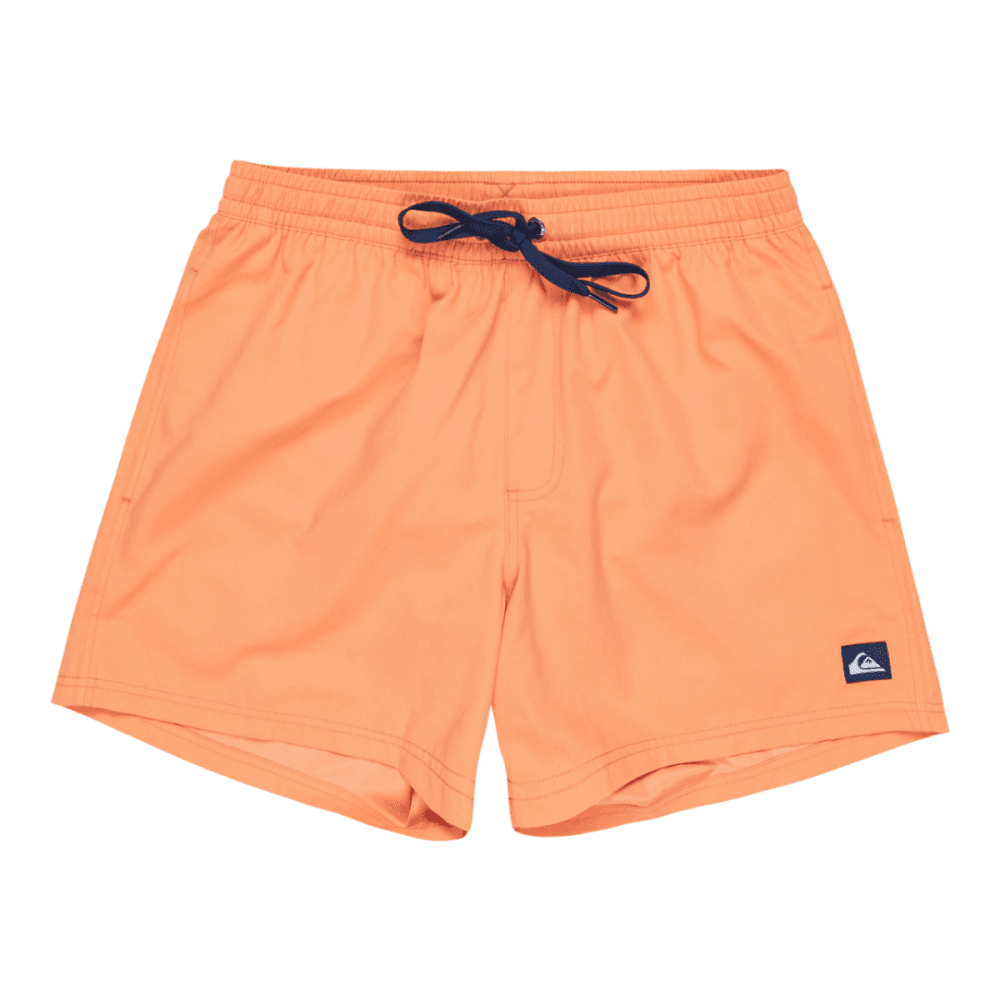 Quiksilver Everyday Solid Volley 15 Boardshorts