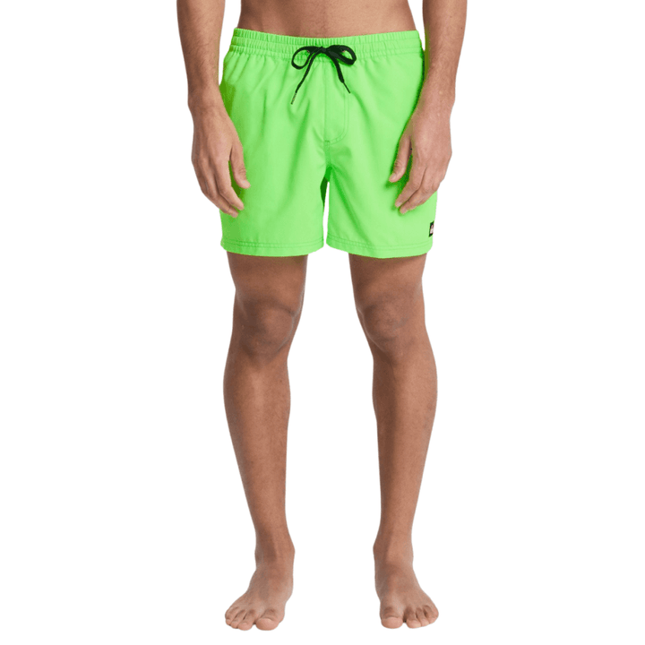 Quiksilver Everyday Solid Volley 15 Boardshorts