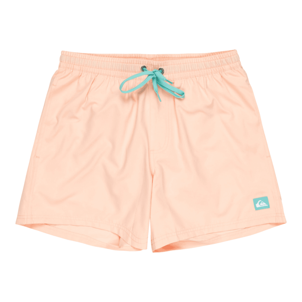 Quiksilver Everyday Solid Volley 15 Boardshorts