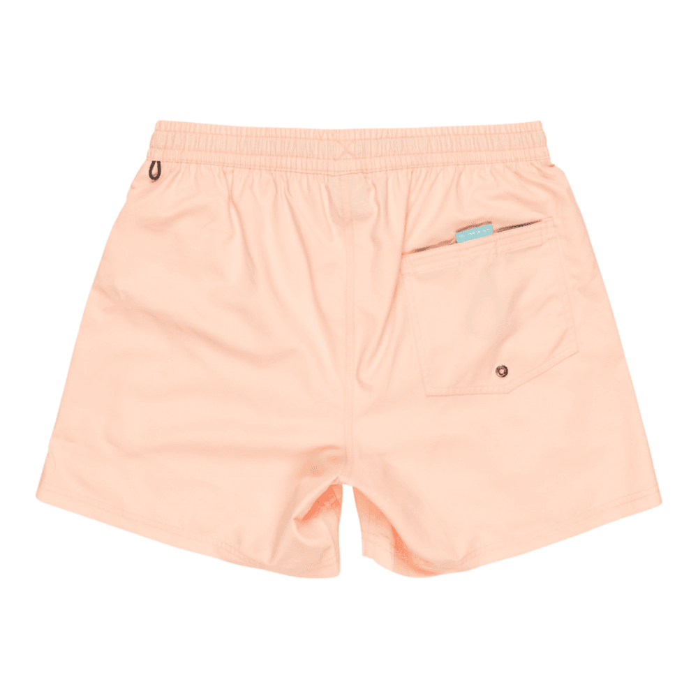 Quiksilver Everyday Solid Volley 15 Boardshorts