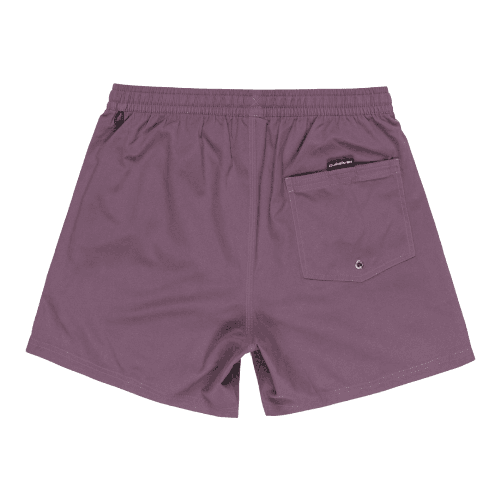 Quiksilver Everyday Solid Volley 15 Boardshorts