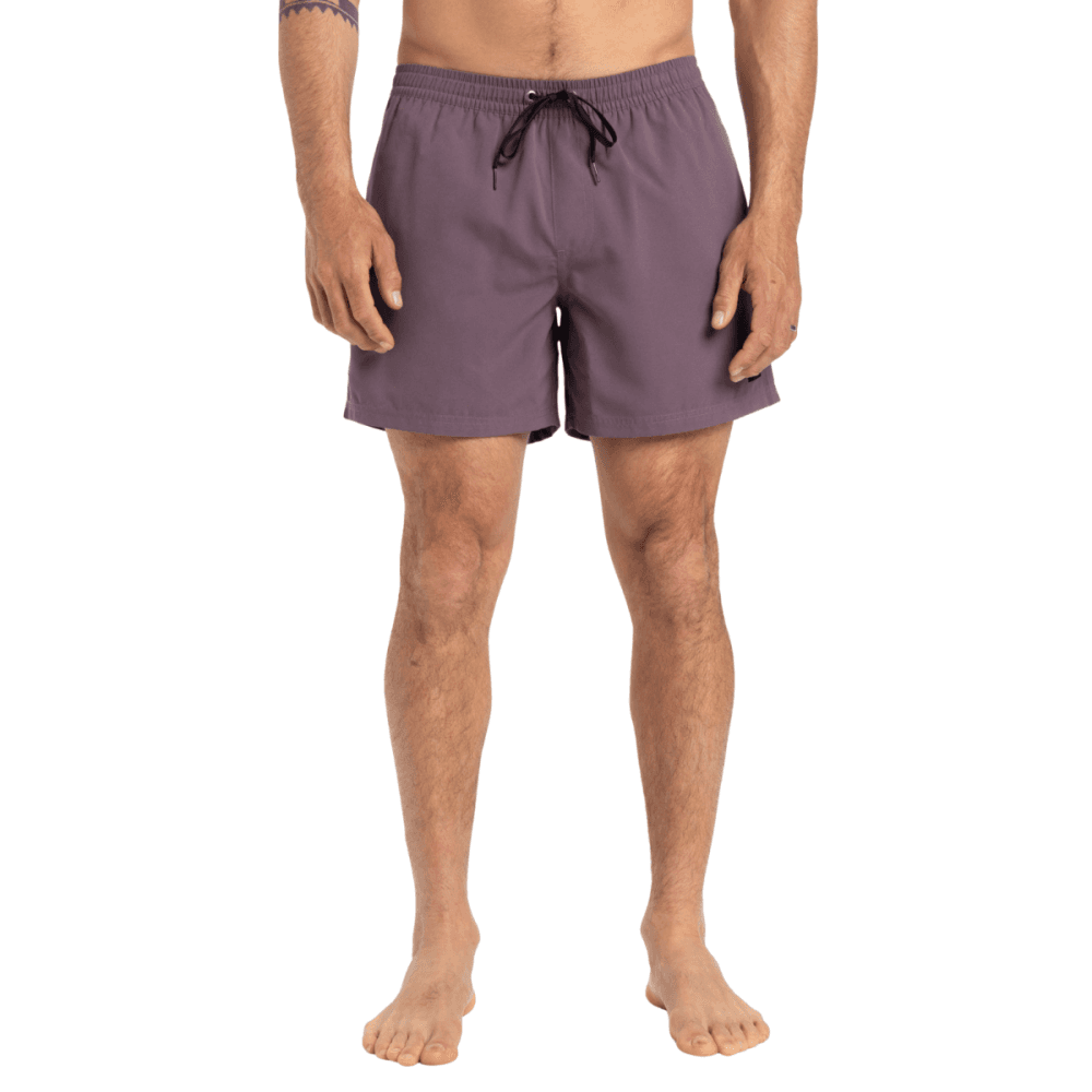 Quiksilver Everyday Solid Volley 15 Boardshorts