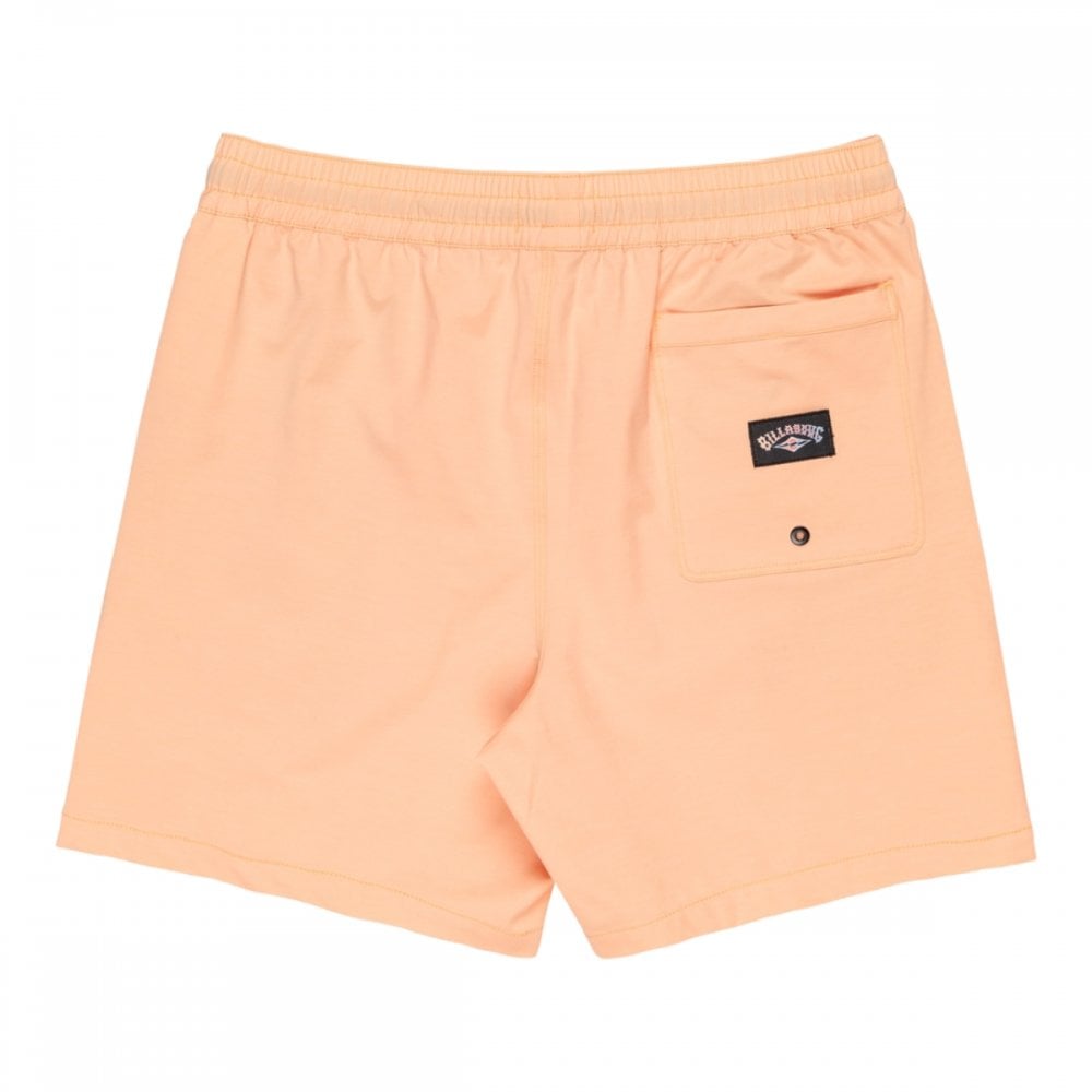 Billabong Every Other Day Lb Boardshorts