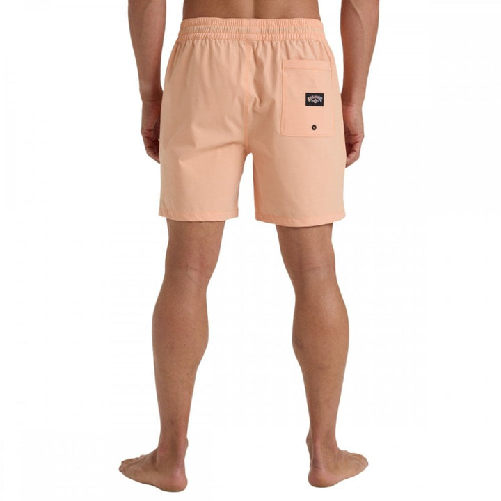 Billabong Every Other Day Lb Boardshorts