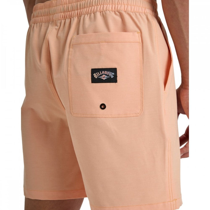 Billabong Every Other Day Lb Boardshorts