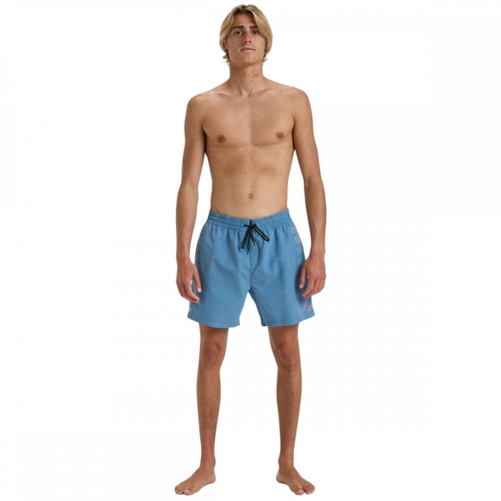 Billabong All Day Heritage Lb Boardshorts