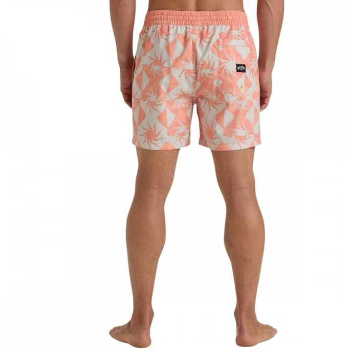 Billabong Vacay Lb Boardshorts