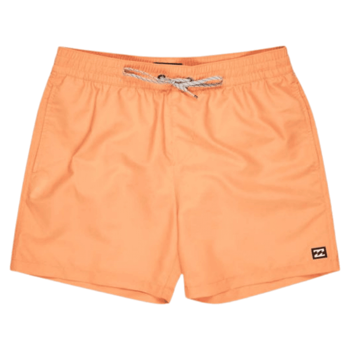 Billabong All Day Lb Boardshorts