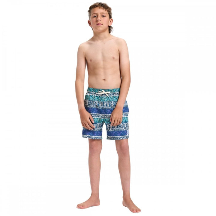 Quiksilver Surfsilk Straight Volley Yth14 Boardshorts