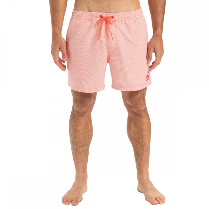 Quiksilver Everyday Deluxe Volley 15 Boardshorts
