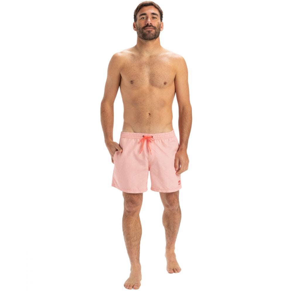 Quiksilver Everyday Deluxe Volley 15 Boardshorts
