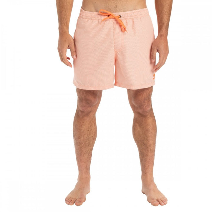 Quiksilver Everyday Deluxe Volley 15 Boardshorts