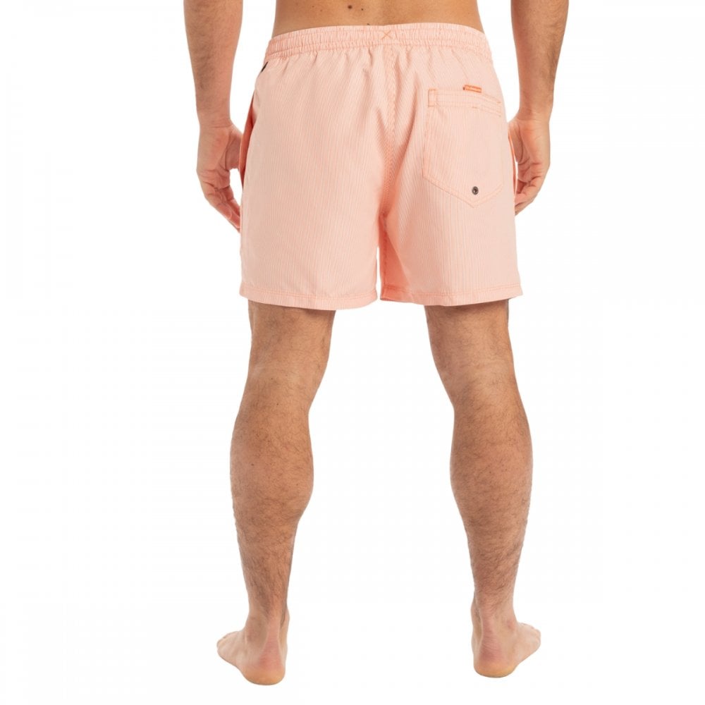 Quiksilver Everyday Deluxe Volley 15 Boardshorts