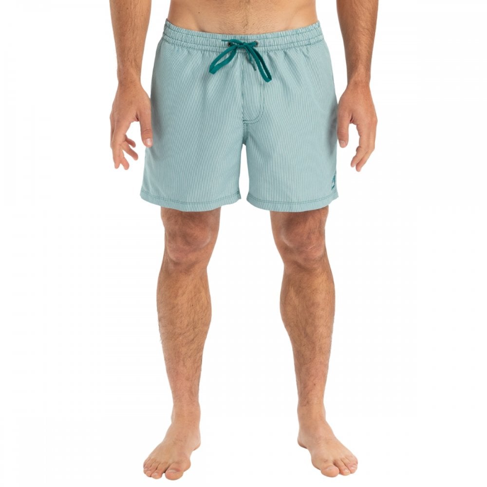 Quiksilver Everyday Deluxe Volley 15 Boardshorts