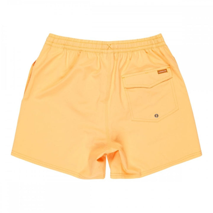 Quiksilver Surfsilk Solid Volley 16 Boardshorts