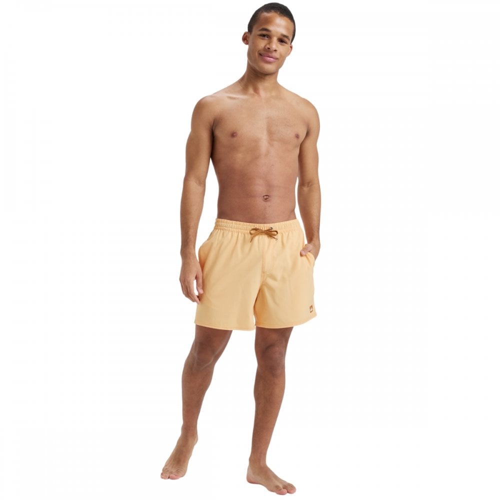 Quiksilver Surfsilk Solid Volley 16 Boardshorts