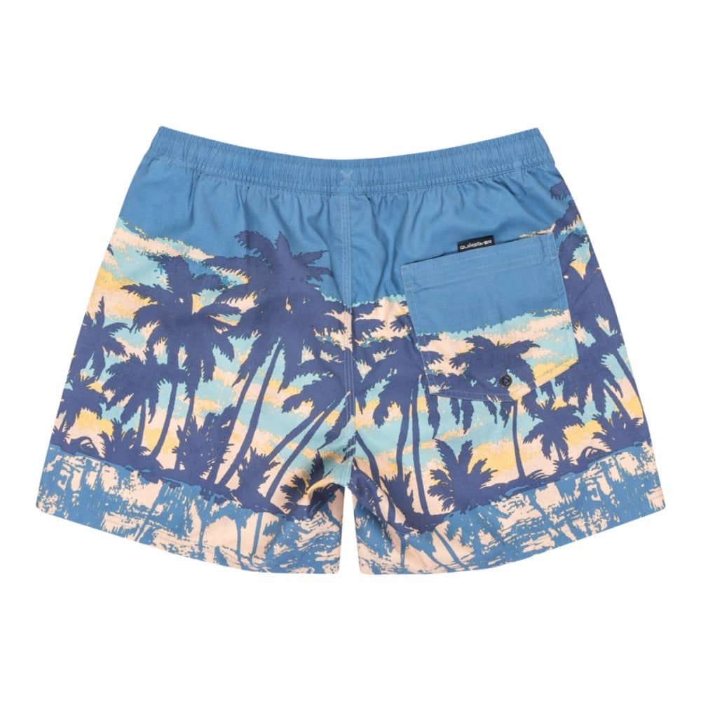 Quiksilver Everyday Straight Volley 15 Boardshorts