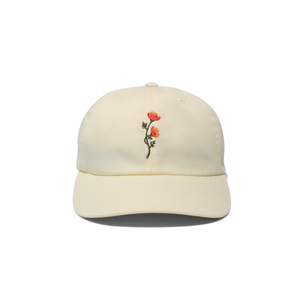 Stance Standard ADJustable Cap