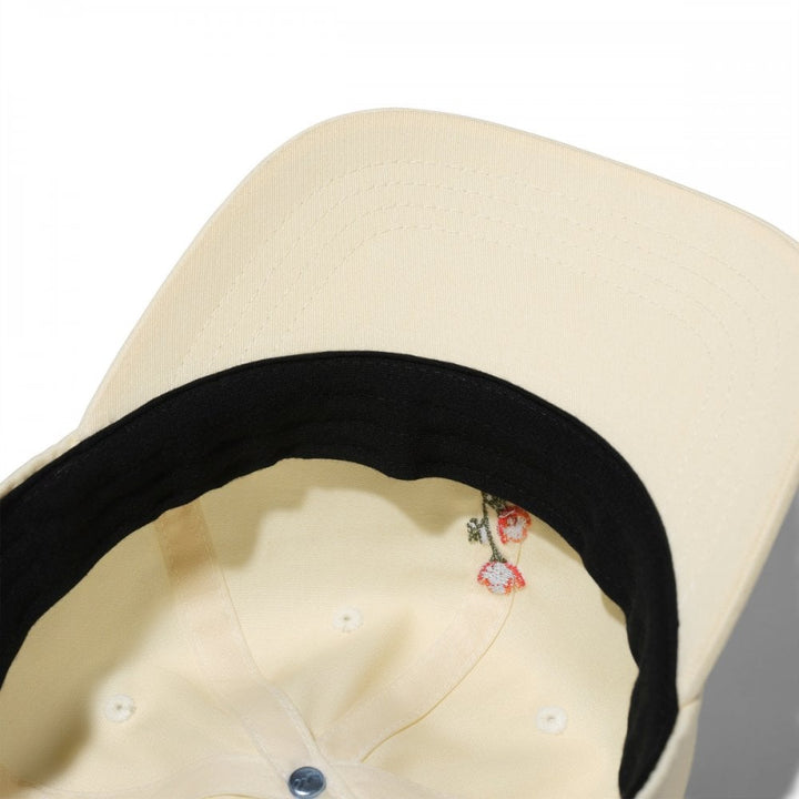 Stance Standard ADJustable Cap