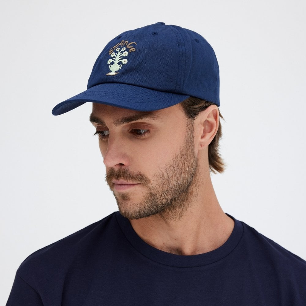 Stance Standard ADJustable Cap
