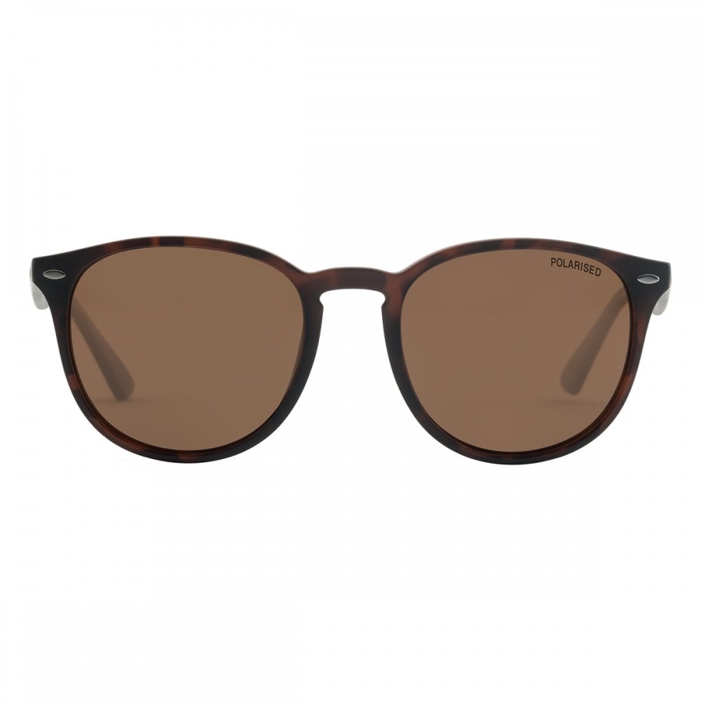 Dirty Dog Racoon Sunglasses