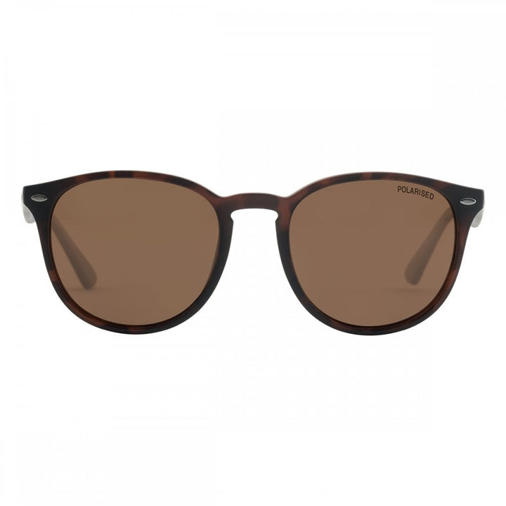 Dirty Dog Racoon Sunglasses