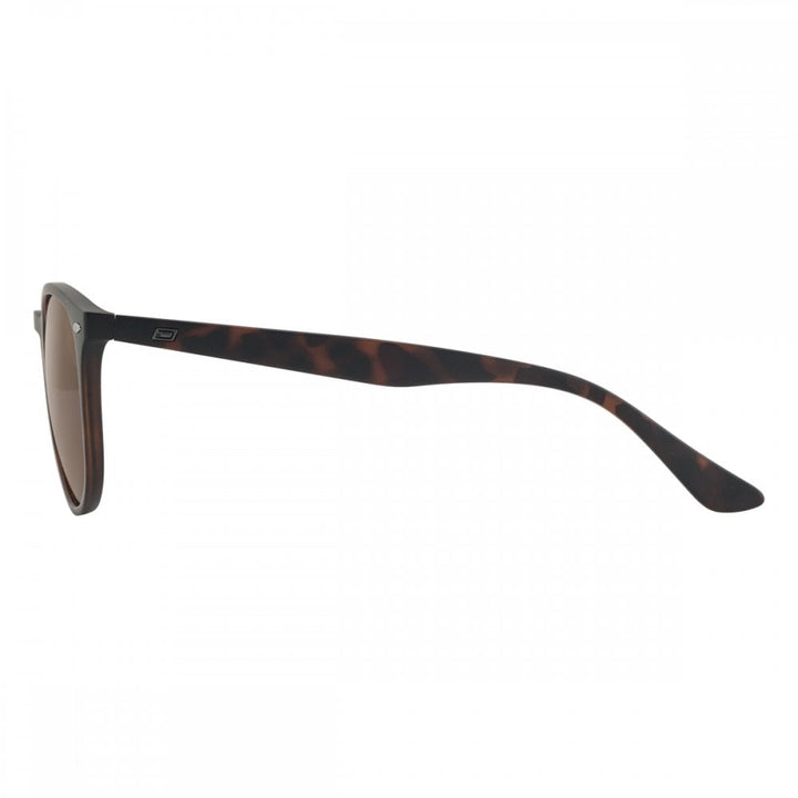 Dirty Dog Racoon Sunglasses