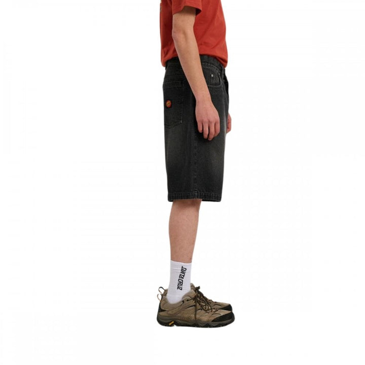 Santa Cruz Big Shorts