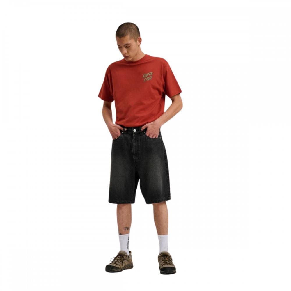 Santa Cruz Big Shorts