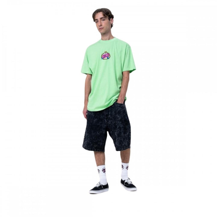 Santa Cruz Big Shorts
