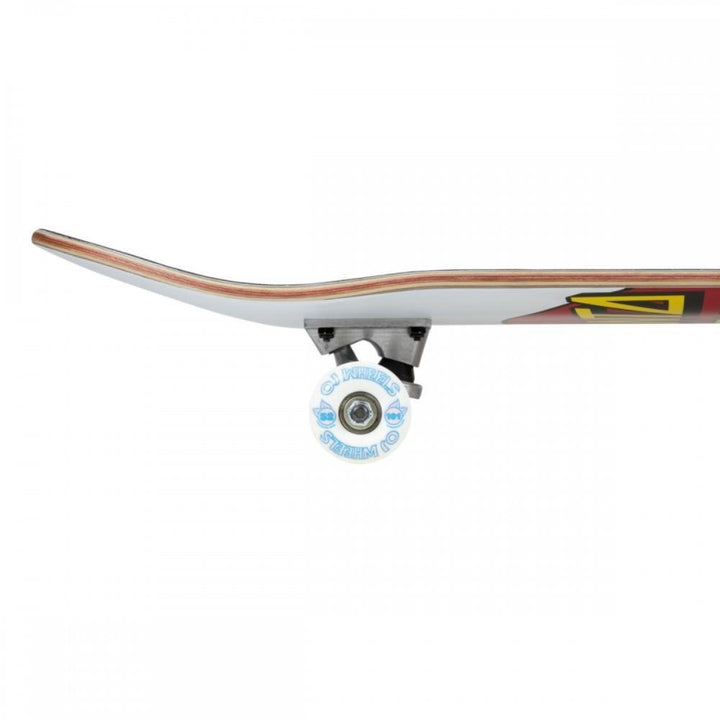 Santa Cruz Classic Dot Complete Board