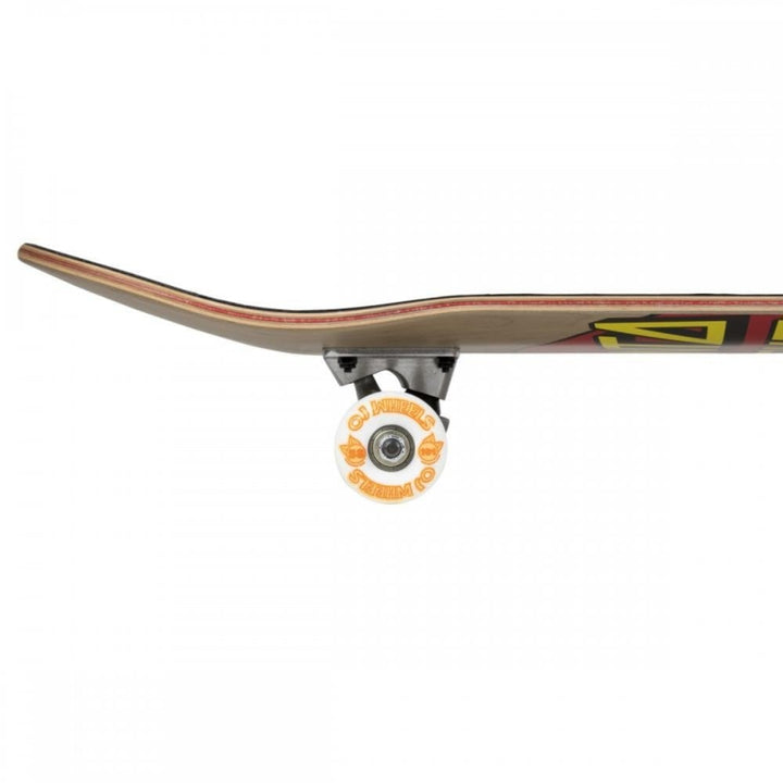 Santa Cruz Classic Dot Complete Board