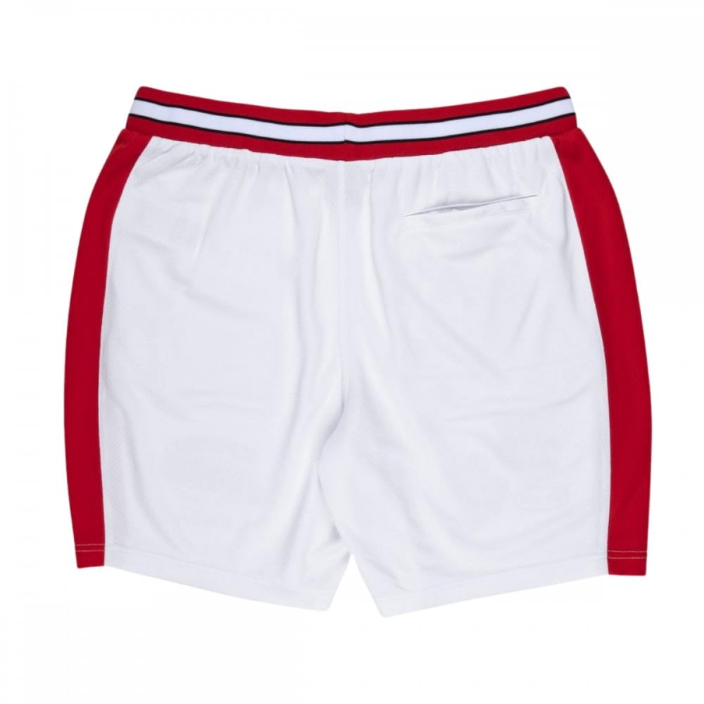 Santa Cruz TTE Worldwide Mesh Short