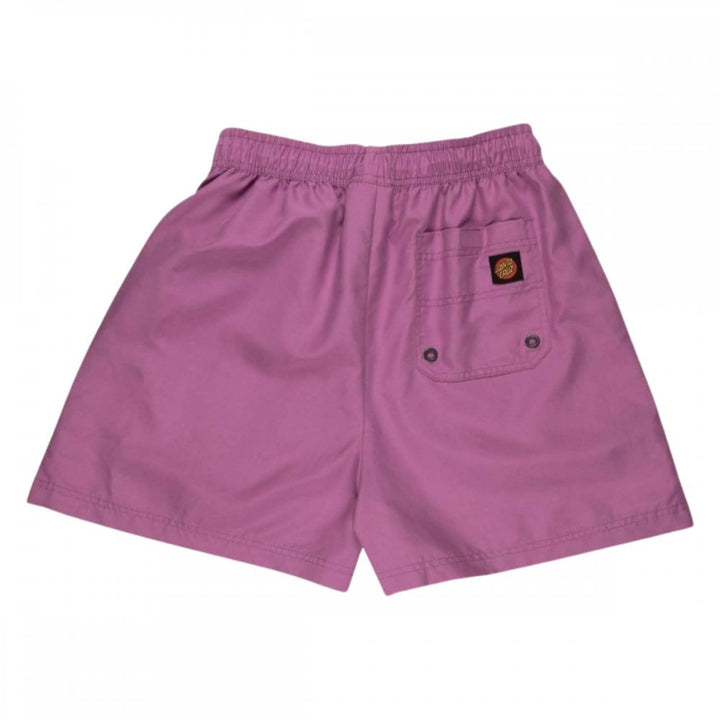 Santa Cruz Venice Swimshorts