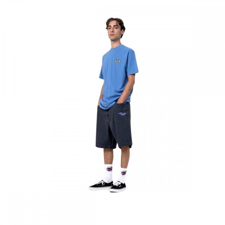 Santa Cruz Winkowski UFO Big Shorts