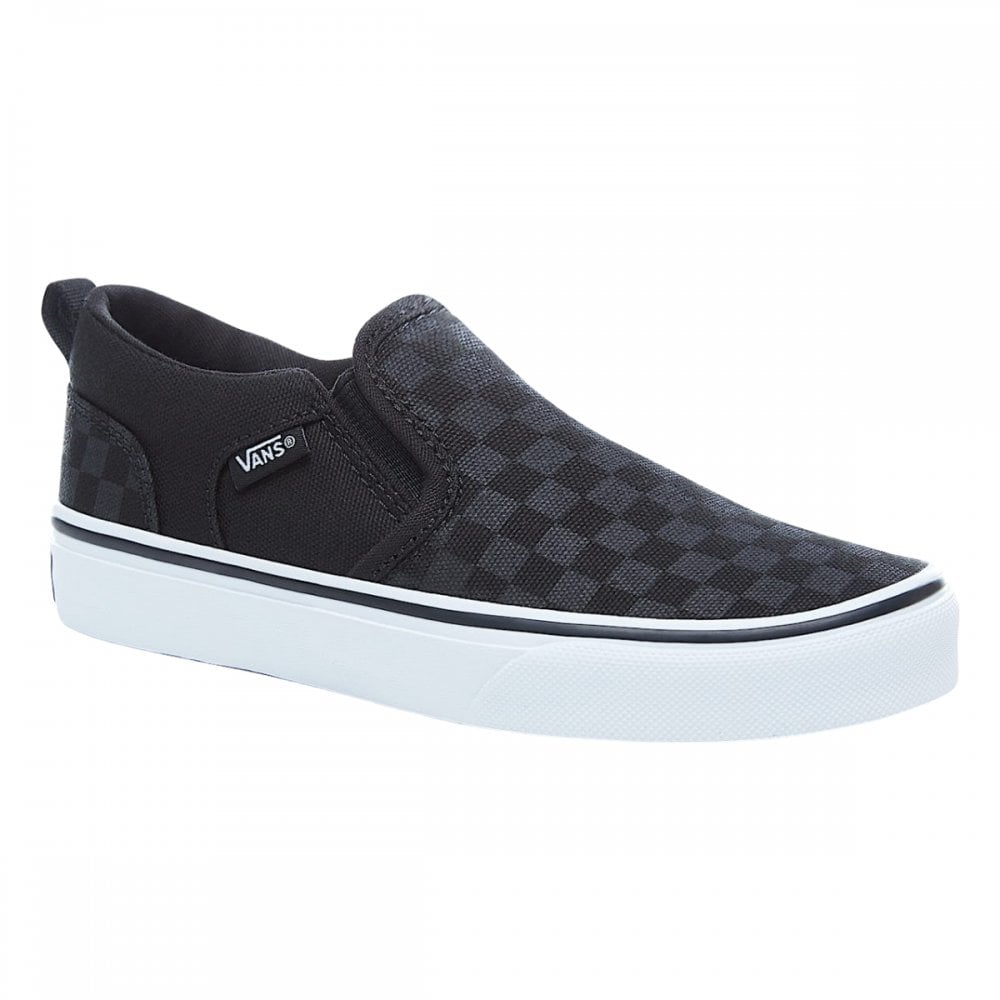 Vans Asher Checker Shoes