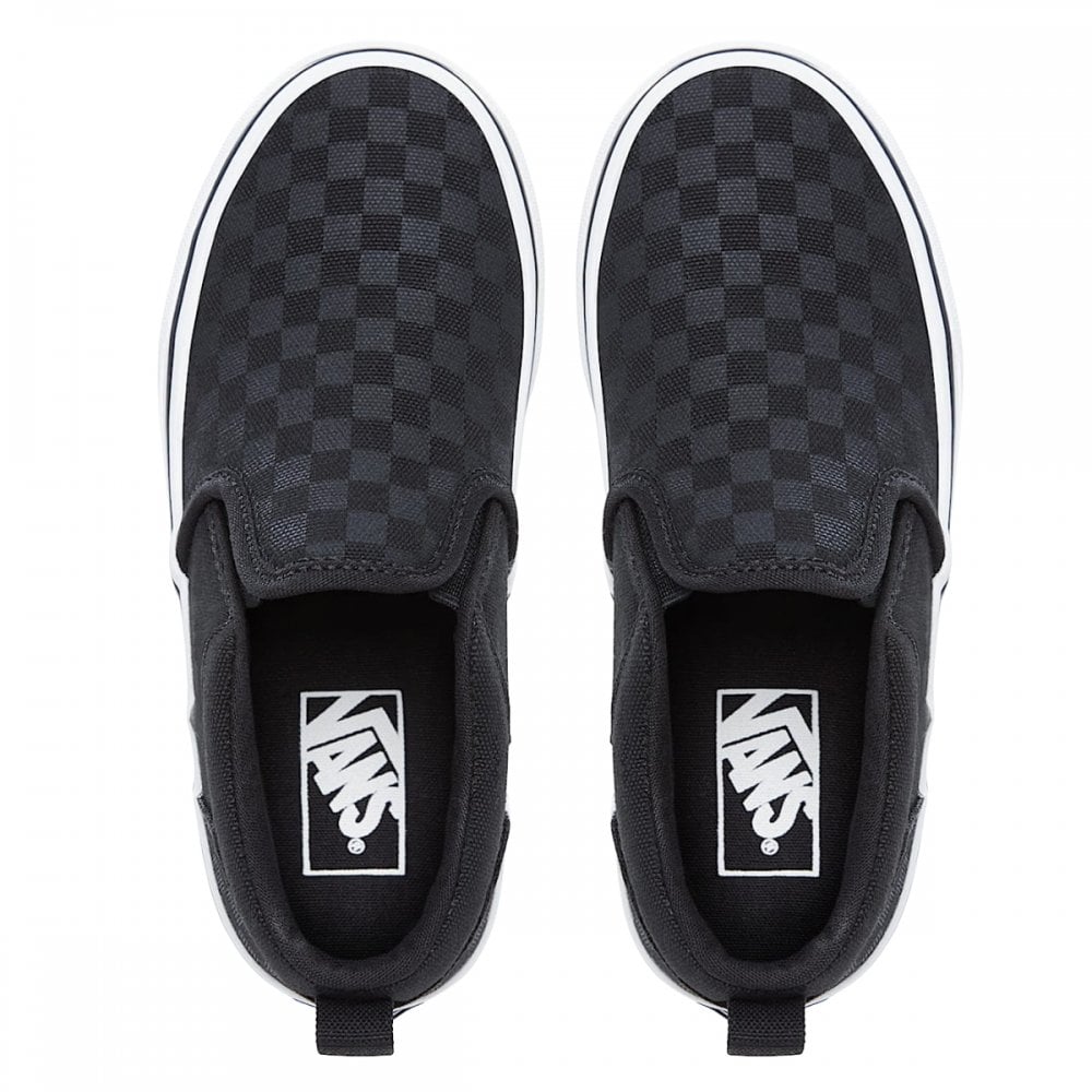 Vans Asher Checker Shoes