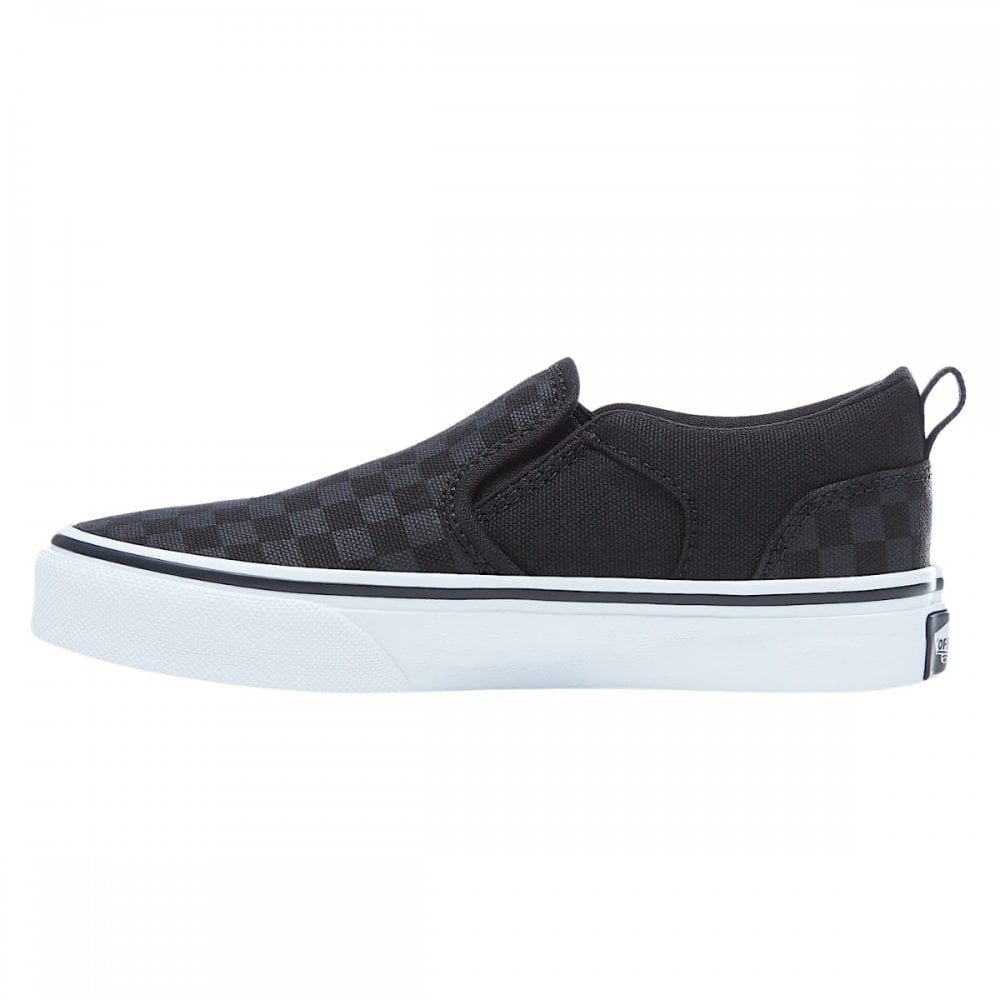 Vans Asher Checker Shoes