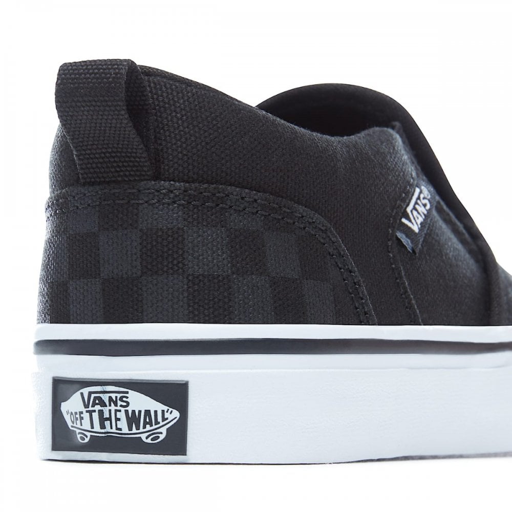 Vans Asher Checker Shoes