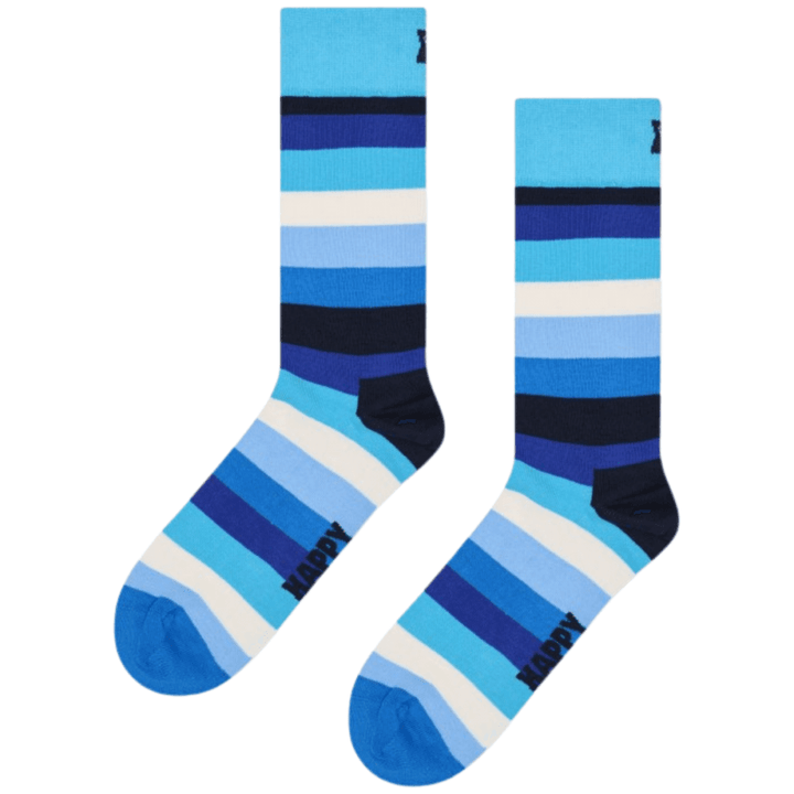 Happy Socks 4 Pack Gift Set Navy Socks
