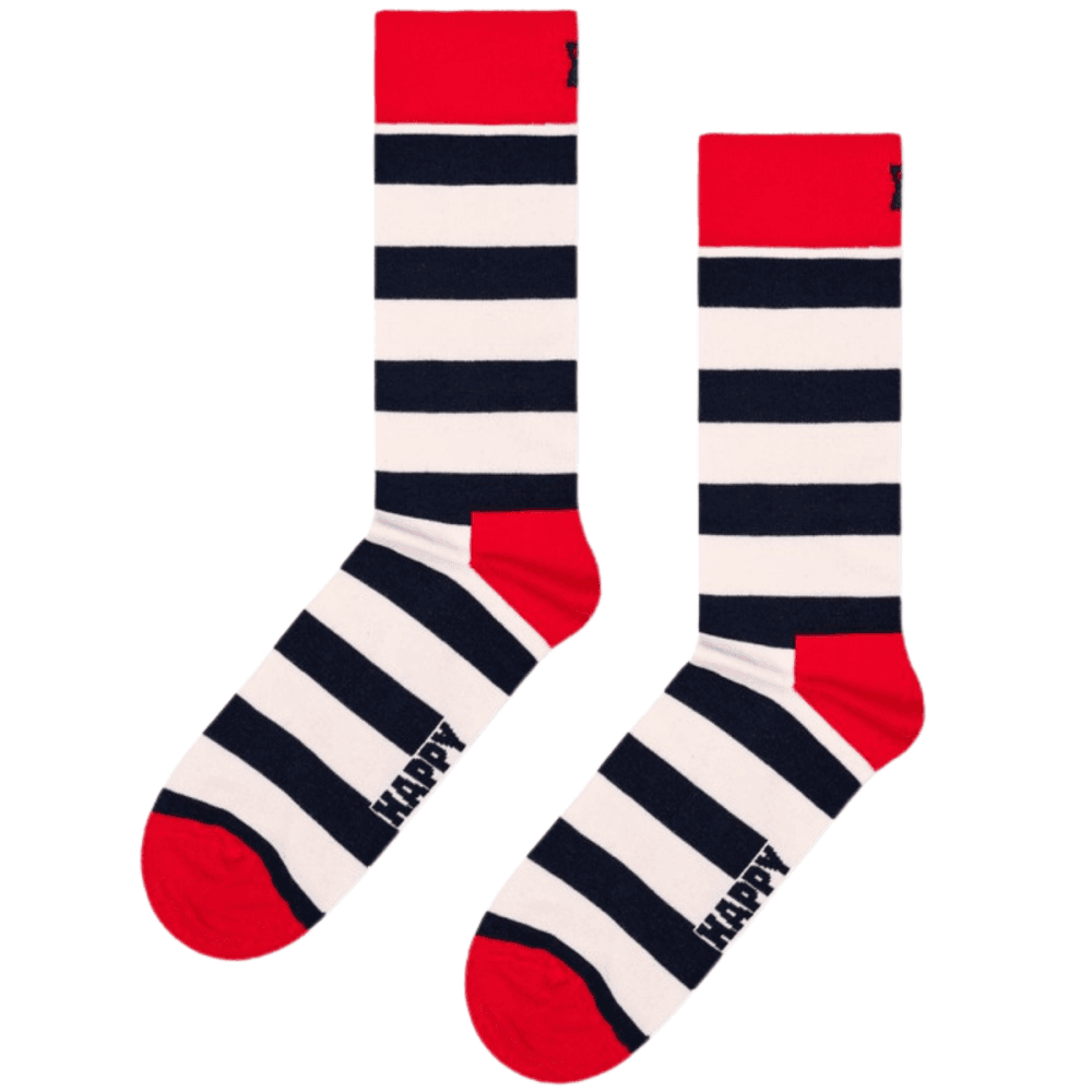 Happy Socks 4 Pack Gift Set Classic Navy Socks