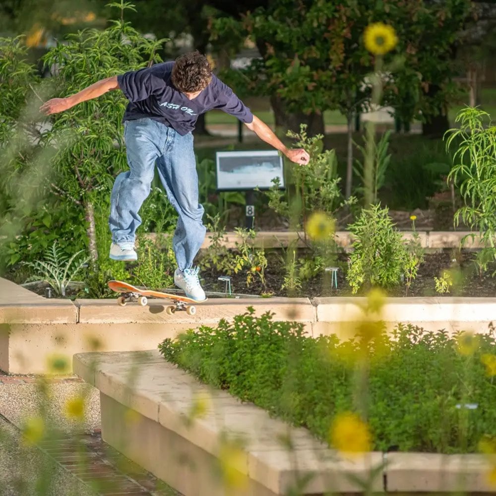 Etnies Sal23 Shoes