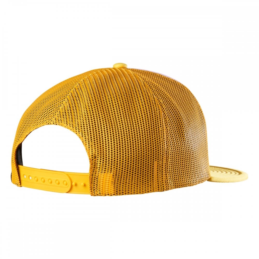 Etnies Etnies Graphic Trucker Cap