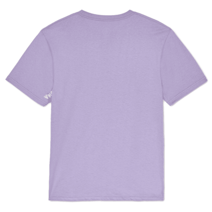 Volcom Stone Blanks Basic S/S Tee