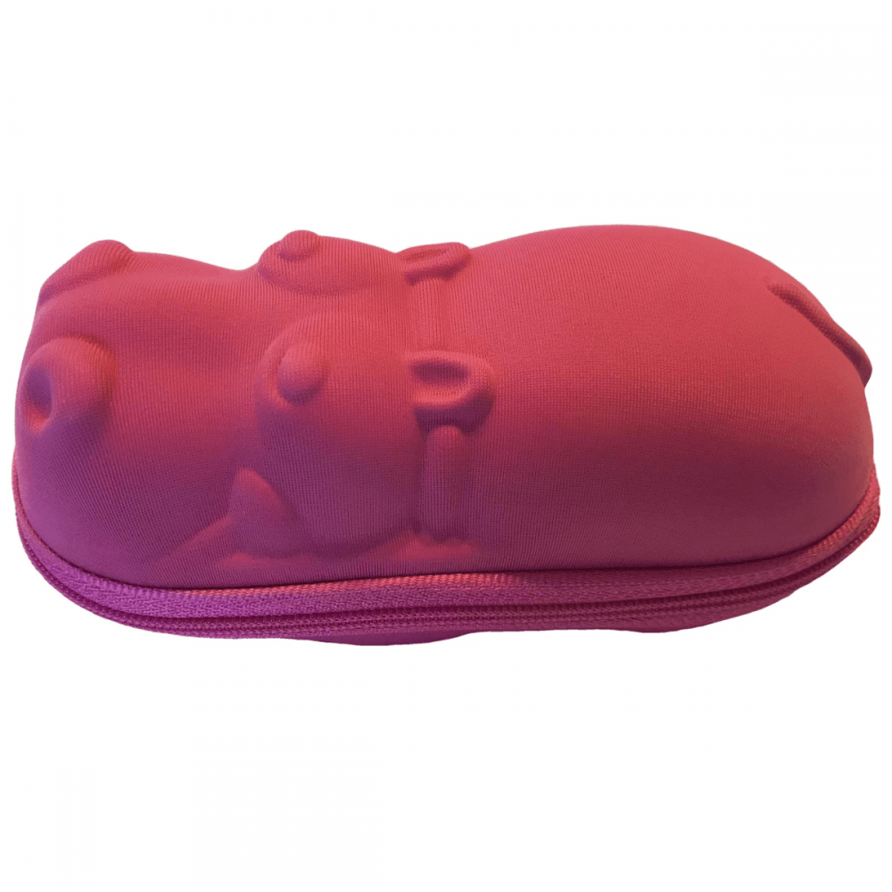 Banz Zipped Sunglasses Case