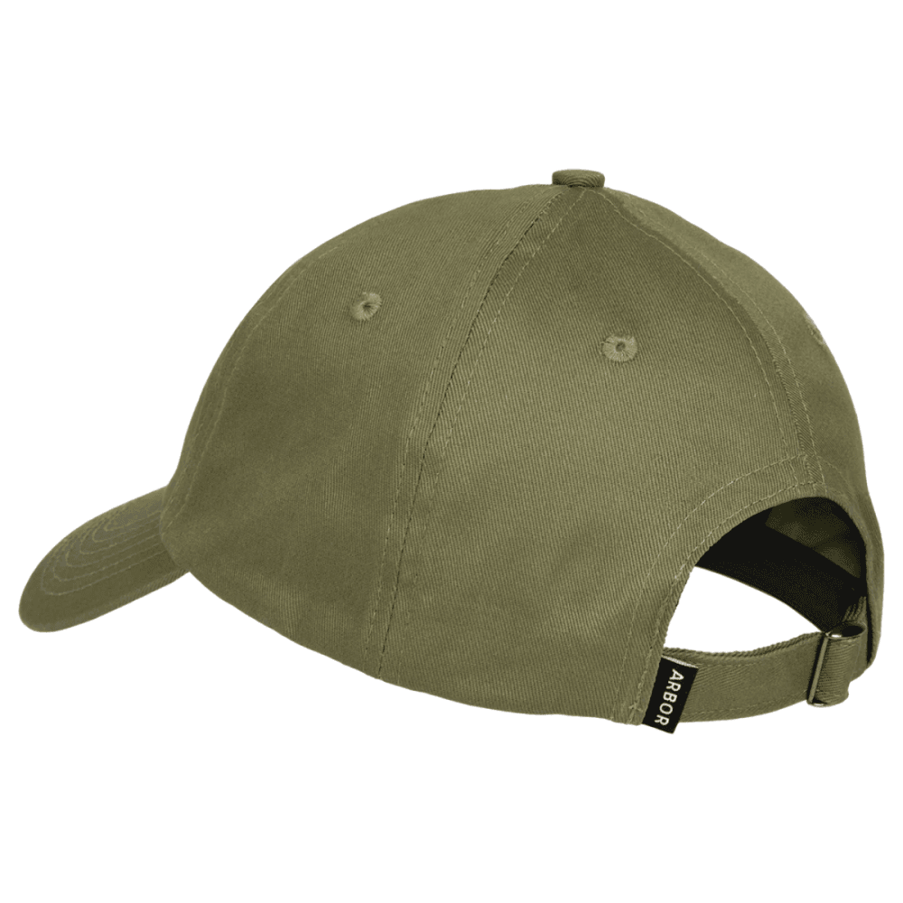 Arbor Surplus Cap