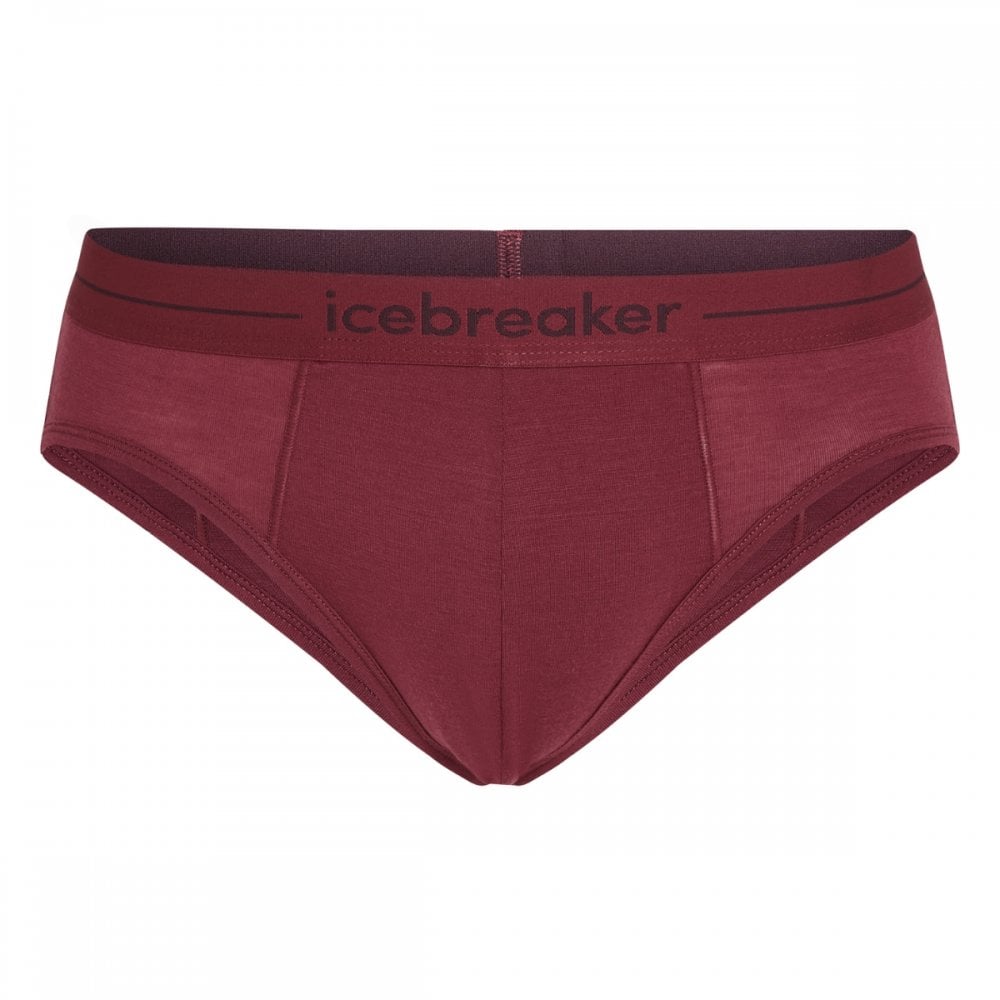 Icebreaker Mens Anatomica Briefs