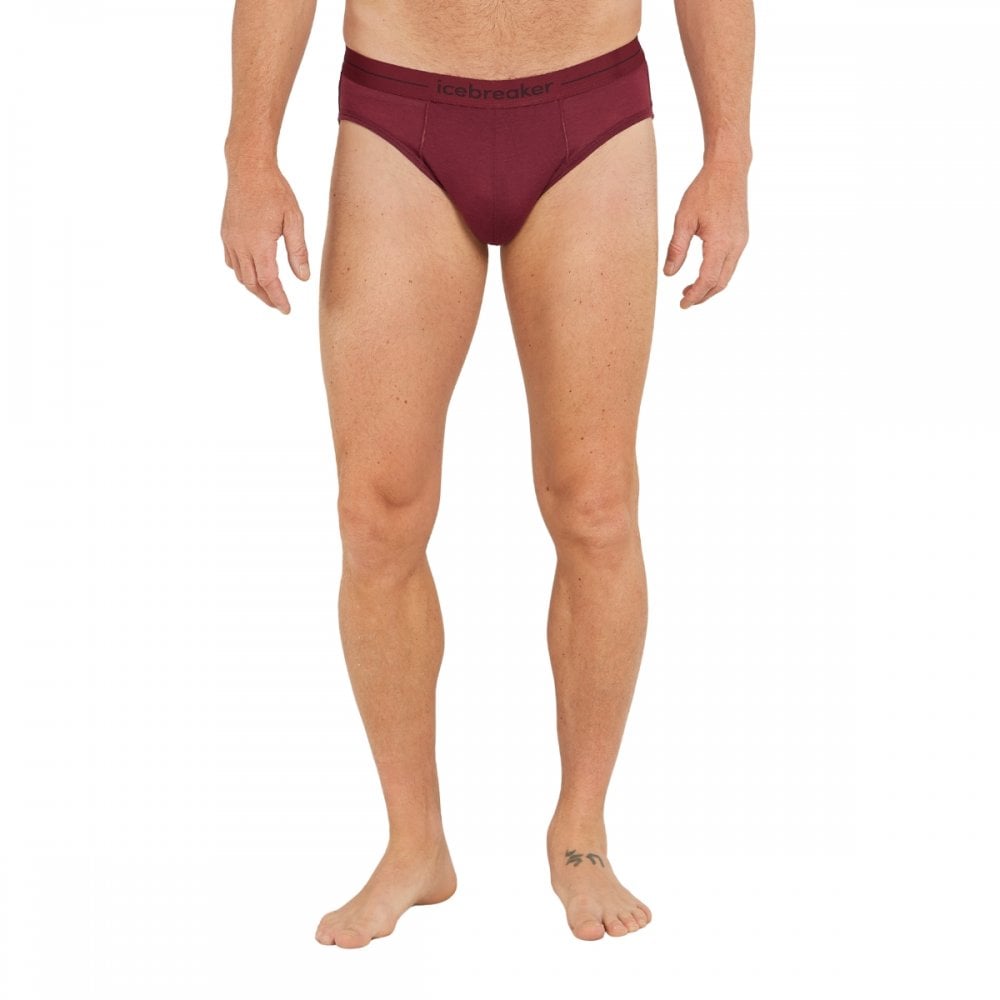 Icebreaker Mens Anatomica Briefs