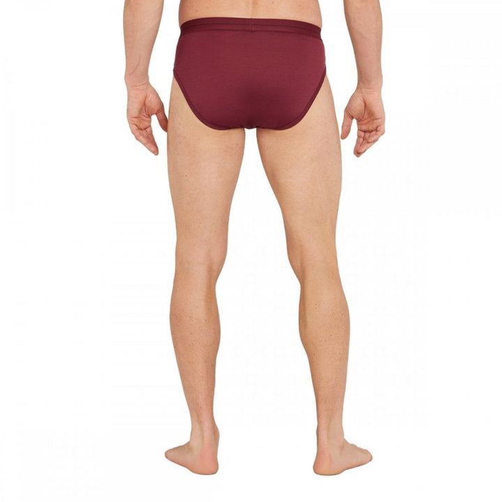 Icebreaker Mens Anatomica Briefs